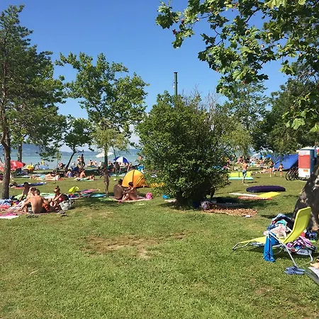 Famvarga Balatonfenyves